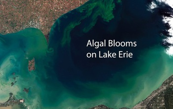 aerial view of lake Erie showing algal blooms